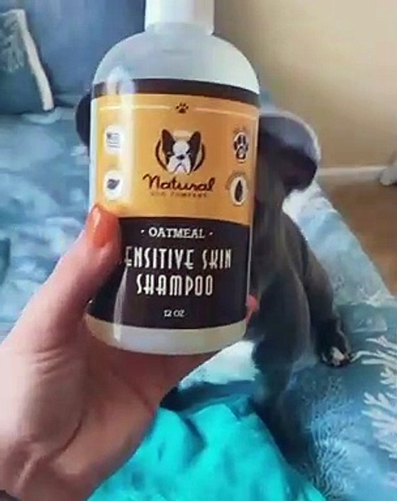 MY DOG'S SHAMPOO