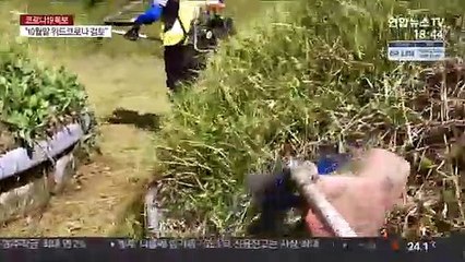 거리두기에 벌초도 비대면으로…대행 의뢰 늘어