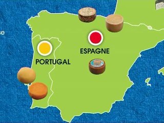 Découvrir et cuisiner le brie et le chaource