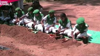 Plantons pour la planète en Inde, avec Elisabeth