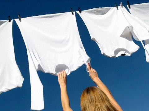 Tout savoir sur le Sel d'Oseille