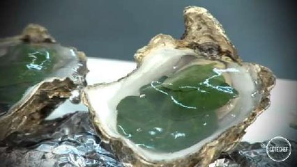 Les huîtres en gelée d&#039;eau de mer de Marc Meneau