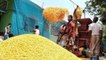 Modi Govt announces MSP of six Rabi crops