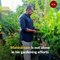 Bandar Brundavanam: A growing community of gardeners in Andhra’s Machilipatnam