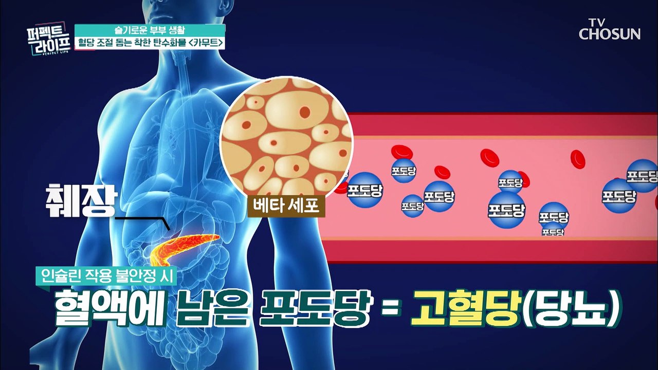 내장지방이 당뇨를 부른다! 당뇨의 발생 원인은?  TV CHOSUN 20210908 방송