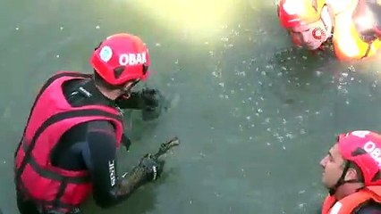 Porsuk Çayı’nda bulunan 6 kemik incelemeye alındı