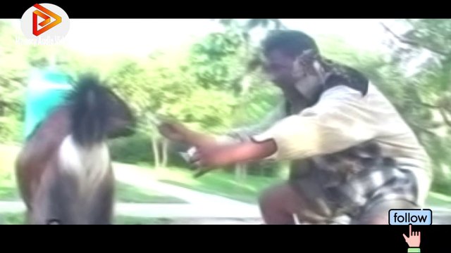 বাংলা গাল পাগলে কি না খায়। bangla mesic video Pagole ki na khaya। bangali music video 2021। official music video2021।new bangla song