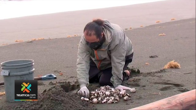 tn7-pandemia-golpeo-directamente-finanzas-de-proyectos-de-conservacion-080921