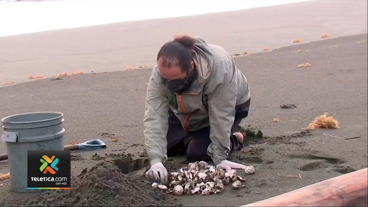 tn7-pandemia-golpeo-directamente-finanzas-de-proyectos-de-conservacion-080921