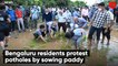 Bengaluru residents protest potholes by sowing paddy