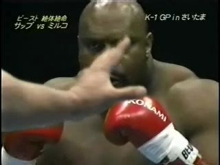 Mirco CroCop vs Bob Sapp
