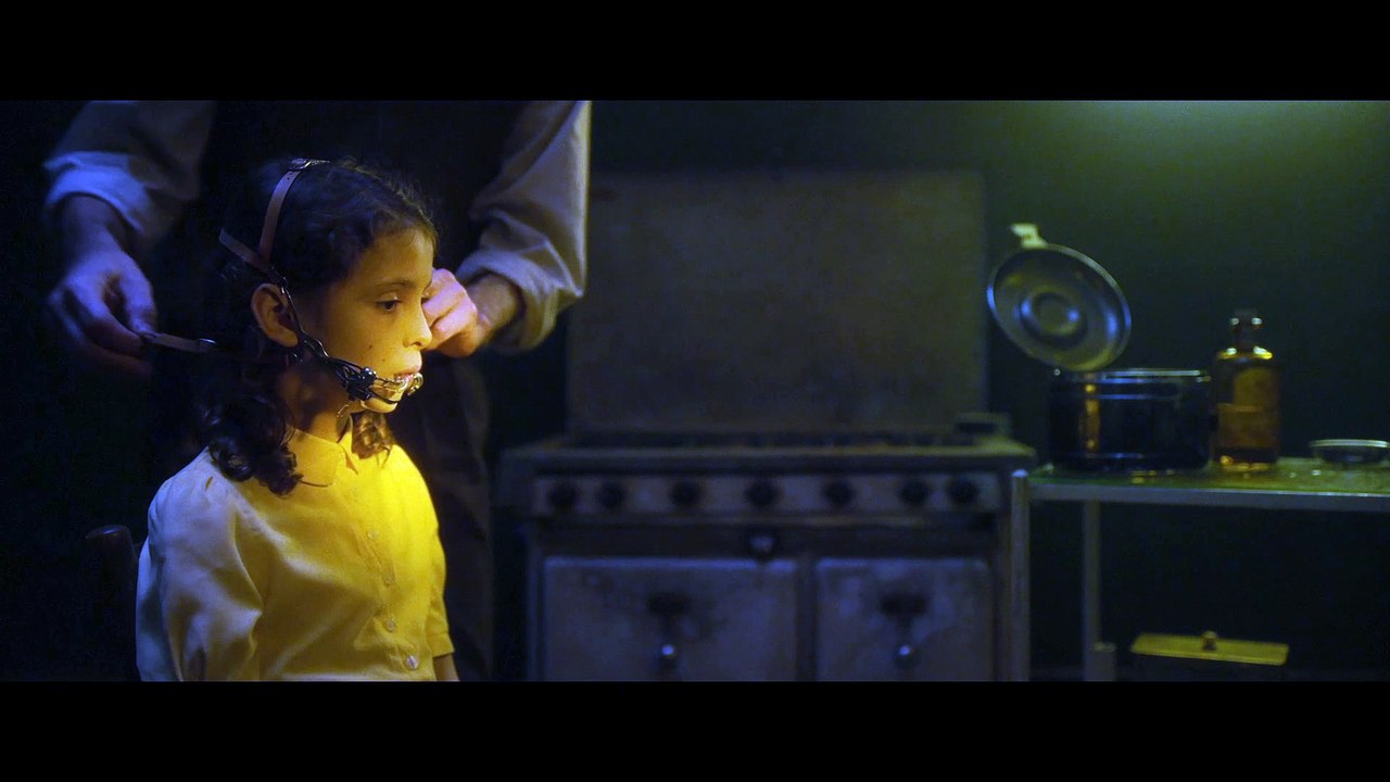 Earwig - Clip 1