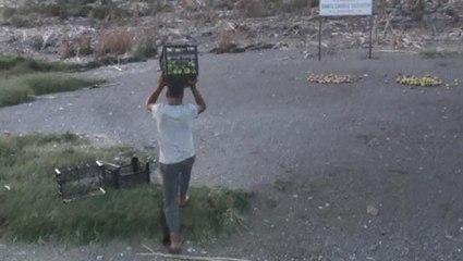 Fırsatçılara tepki gösteren Diyarbakırlı iş adamı, 30 ton ürünü vatandaşlara ve martılara ücretsiz dağıttı