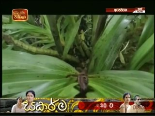 Atapattama 08-09-2021