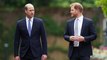 Prince William & Prince Harry Relationship Crumbling Again|Royally Us