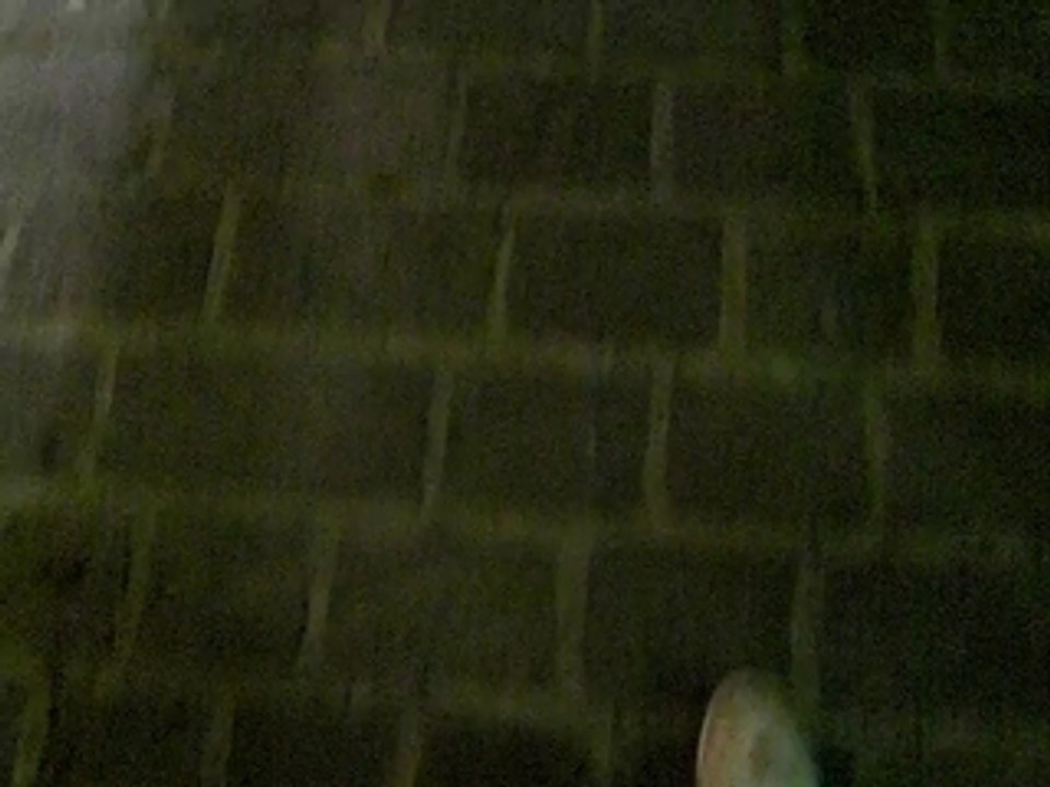 CIMG0385
