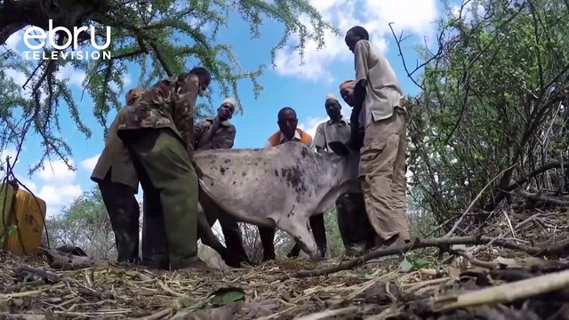 Wakazi Wa Kaunti Ya Isiolo Wahimizwa Kukabili Ukame