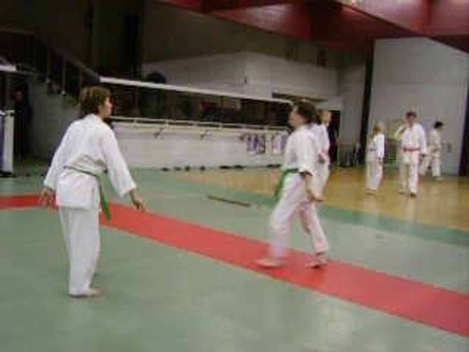 Aikido udekimenage