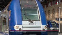 Trains Nice-Marseille : la région délaisse la SNCF au profit d'une entreprise privée