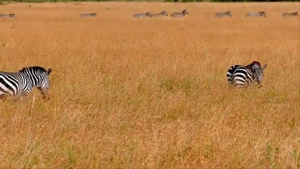 Richard Branson's New Kenya Safari Camp Is the Best Hotel in the World