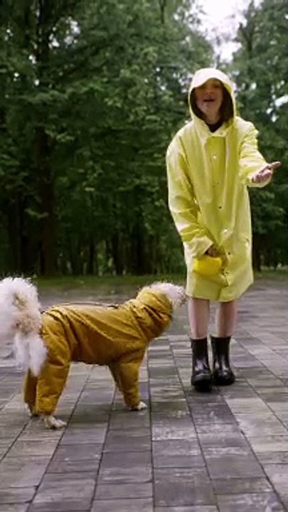 Funny dogs videos 2021