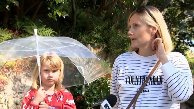 Magpies living around a suburban street in Sydney's lower north shore will be culled following a spate of swooping attacks.