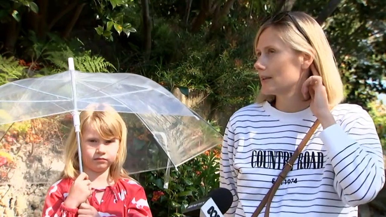 Magpies living around a suburban street in Sydney's lower north shore will be culled following a spate of swooping attacks.