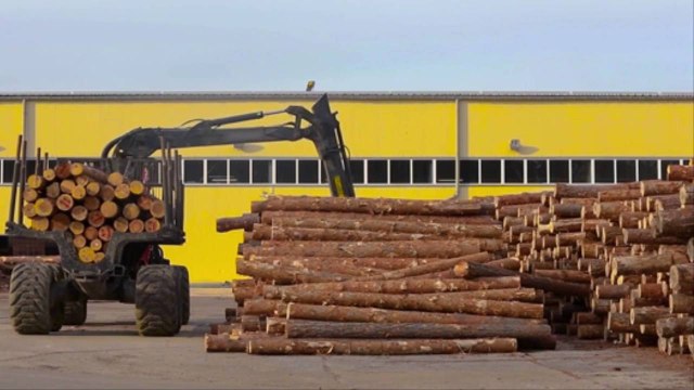 Timber Supply Issues Are Causing Headaches for the Wine Industry