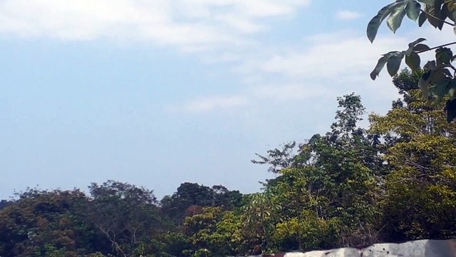 Airbus A330 PR-AIW na aproximação final antes de pousar em Manaus vindo de Campinas