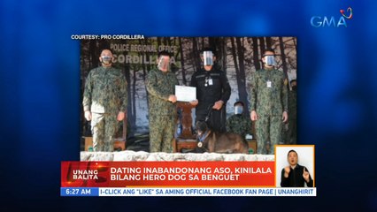 Dating inabandonang aso, kinilala bilang hero dog sa Benguet | UB