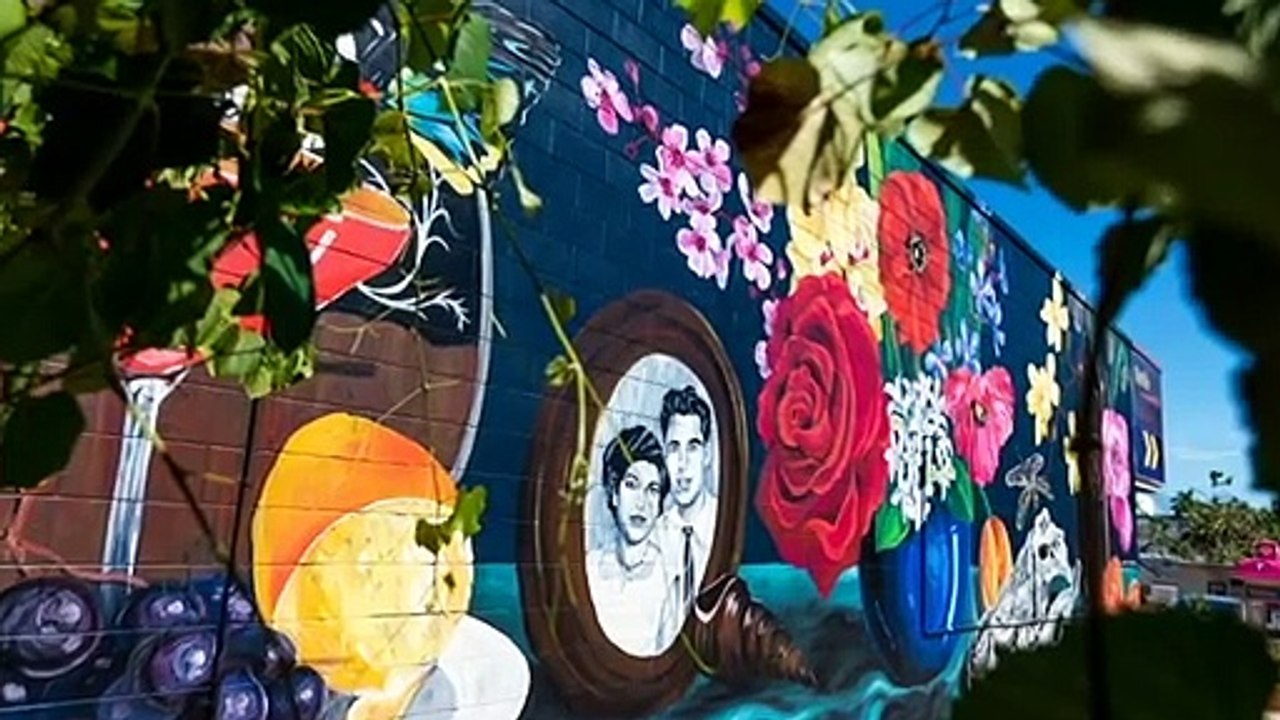 Darwin Street Art Festival expands to suburbs, Katherine, Tennant Creek, Alice Springs