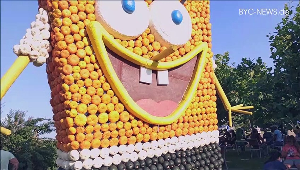 Freizeittipp: Das Kürbisland im Rhein-Main Gebiet