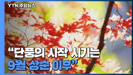 첫 단풍 예년보다 1∼3일 늦다...설악산 9월 28일 / YTN