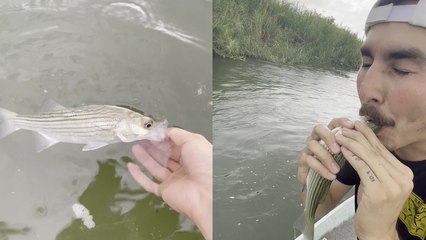'Man Tries to Save Dying Fish by Performing CPR On It *IT WORKED!* '