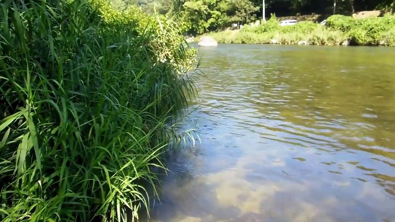 Japanese Towns Bluffing COVID Precautions