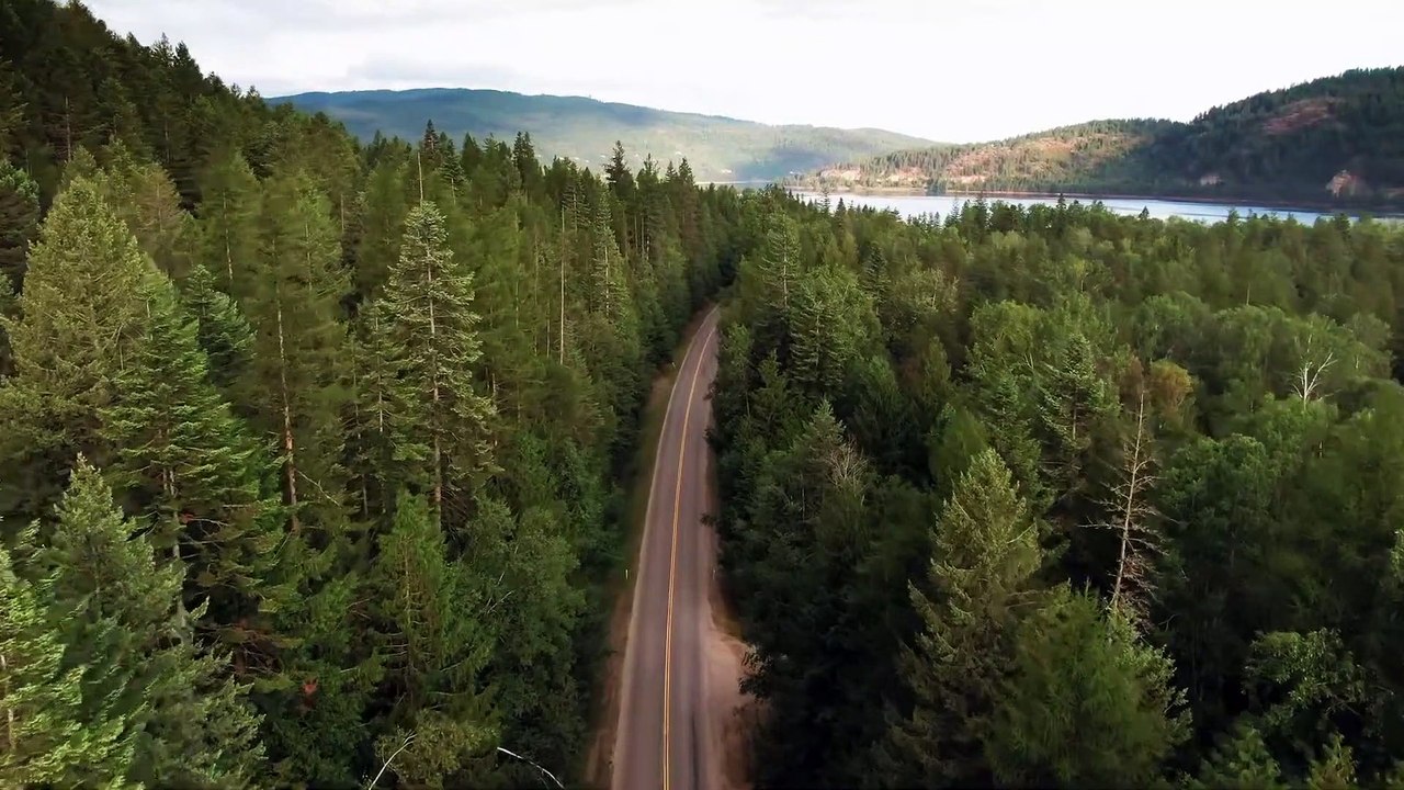 1 Minute Violin Music- Instrumental Background Music   Relaxing Violin  Music