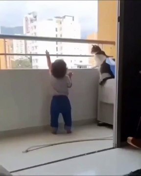 Ce chat surveille ce petit garçon afin qu'il ne tombe pas du balcon