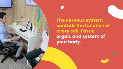 Dr lu wen'an | Why Chiropractic Works