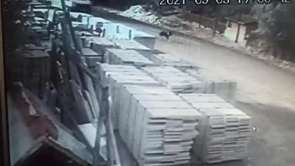 Son dakika haber! KÖPEĞE ÇARPIP ÖLÜMÜNE NEDEN OLDU, ARKASINA BAKMADAN KAÇTI