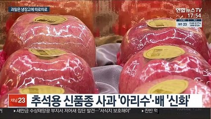 성큼 다가온 추석…"과일은 따로따로 보관해야 신선"