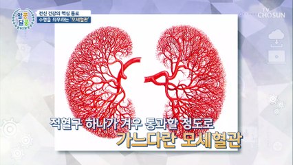 전신 건강의 핵심 통로!! 모세혈관이 막히면 죽는다 TV CHOSUN 20210909 방송