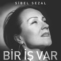 Sibel Sezal - Bir İş Var (Official Audio)