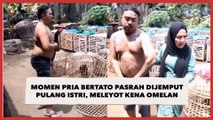 Momen Pria Bertato Pasrah Dijemput Pulang Istri, Auto Meleyot Kena Omelan