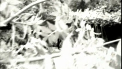 Enrico Medail - Povero Rutebeuf (Rutebeuf, Ferré)