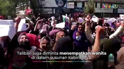 Kabinet Terbaru Pemerintahan Afghanistan, Tak Ada Wanita!
