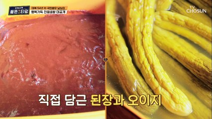 냉장고만 무려 5대 큰 손 국민배우 남능미의 일상 속으로 TV CHOSUN 210909 방송