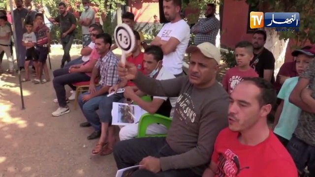 تيارت :مزاد علني لإقتناء الخيول العربية الأصلية ثمنها بين 50 و 70 مليون سنتيم