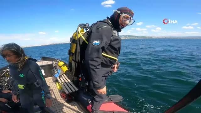 Nesli tükenmekte olan kırmızı mercanlar, Çanakkale Boğazı'ndaki batık gemilerde hayat buluyor