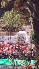 Saanson Ki Mala Pe Simroon Mein Status MKBSHAH