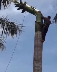 How impossible Tree Cutting very first | watching video